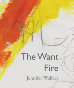 The Want Fire cover