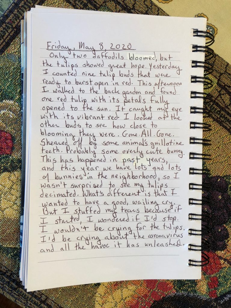 Photo of handwritten journal entry