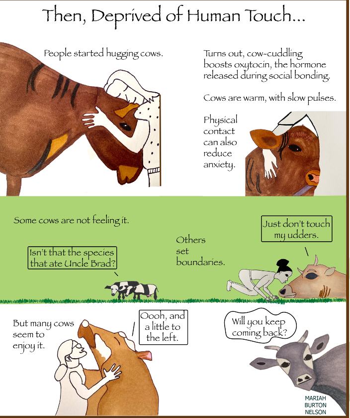 infographic showing the benefits of hugging cows