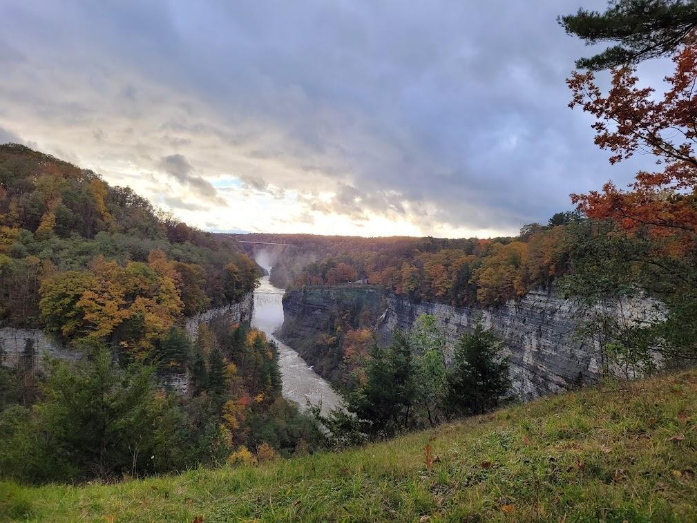 Photo of a river through forest canyon