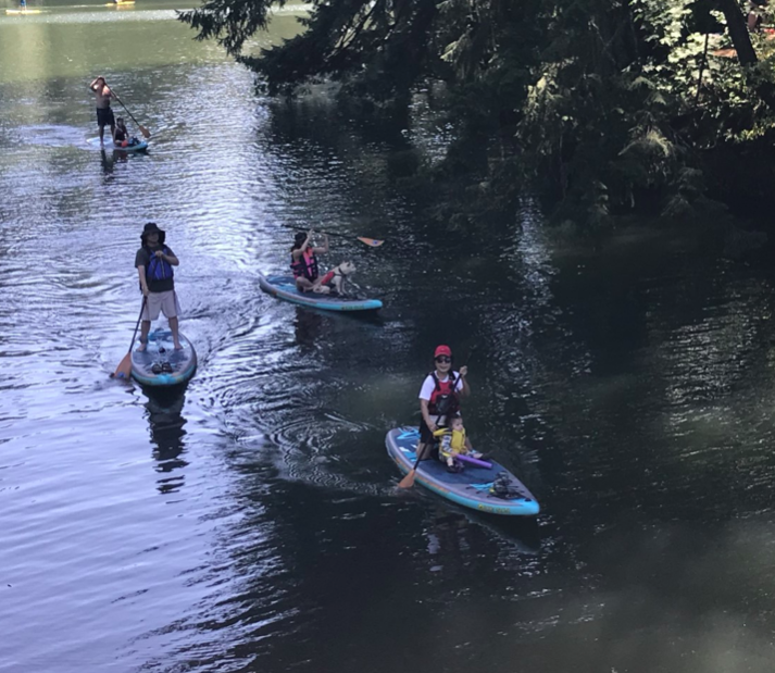 kids paddle boarding, some standing, some sitting to paddle