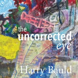 The Uncorrected Eye book cover