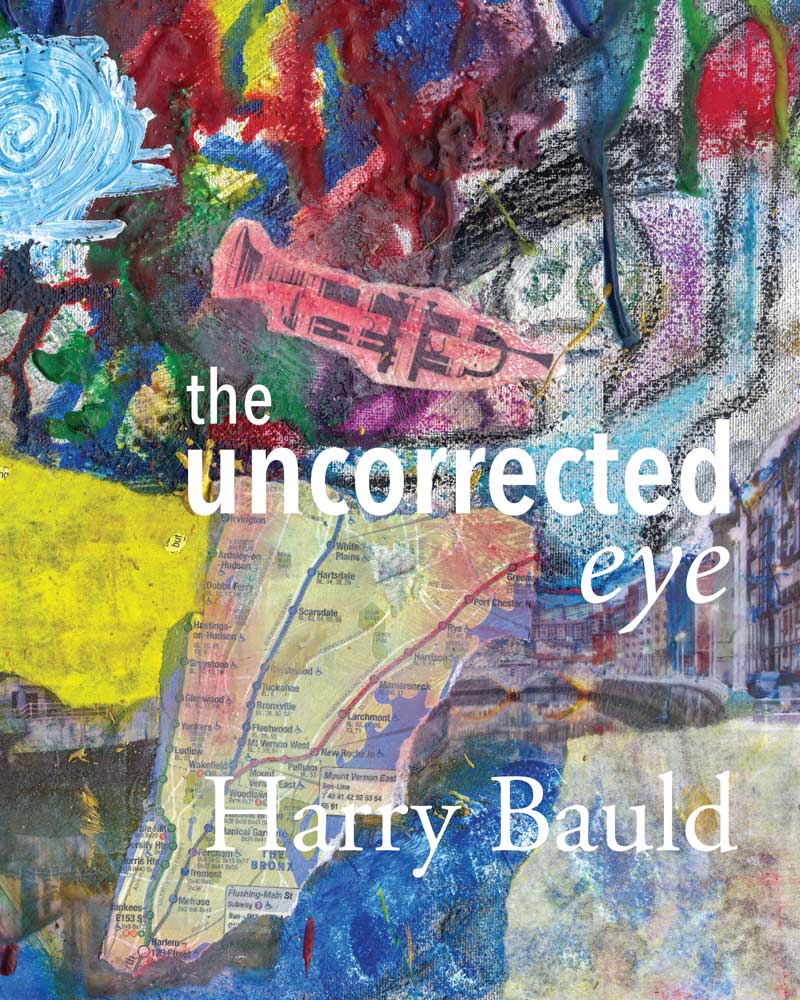 The Uncorrected Eye book cover