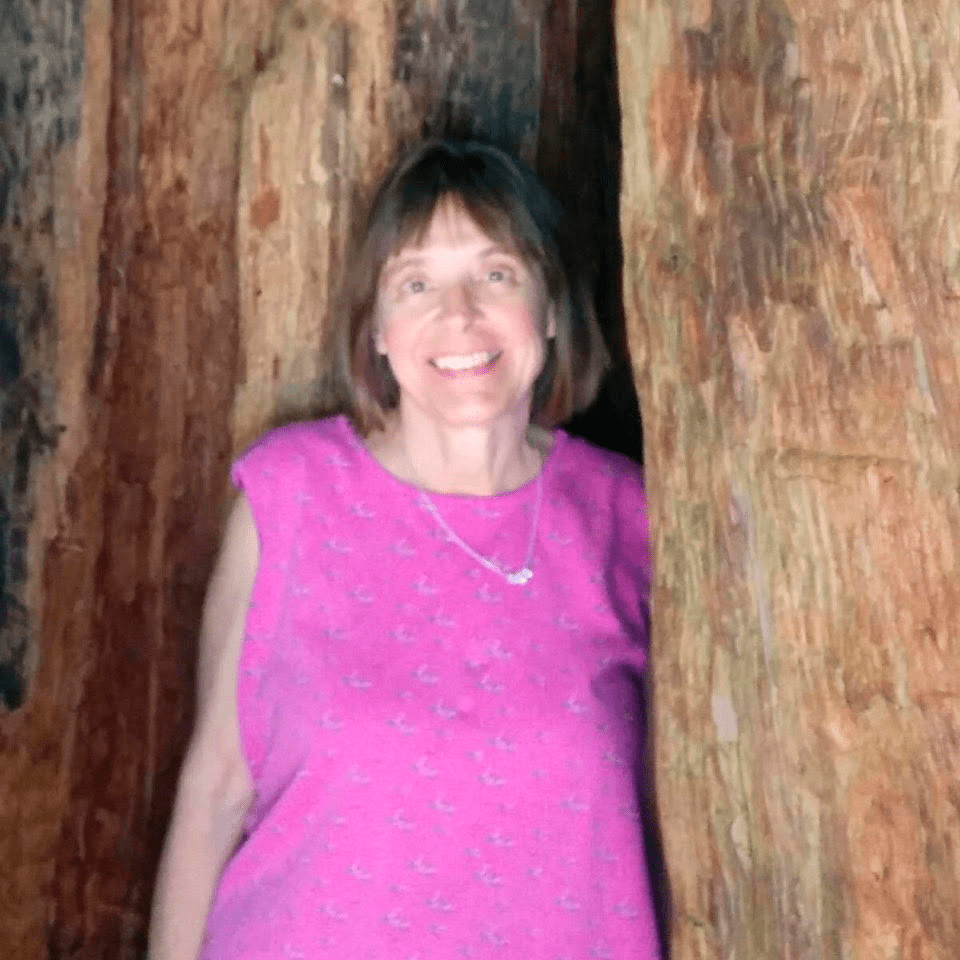 The Ordinary Passager Books