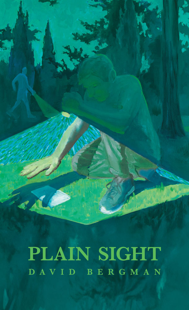 Plain Sight book cover